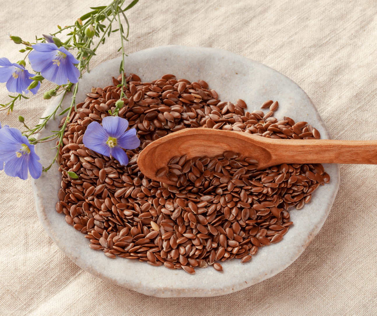 QPS - lijnzaad met bloem